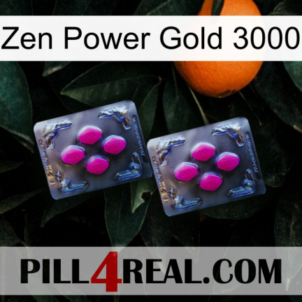 Zen Power Gold 3000 01